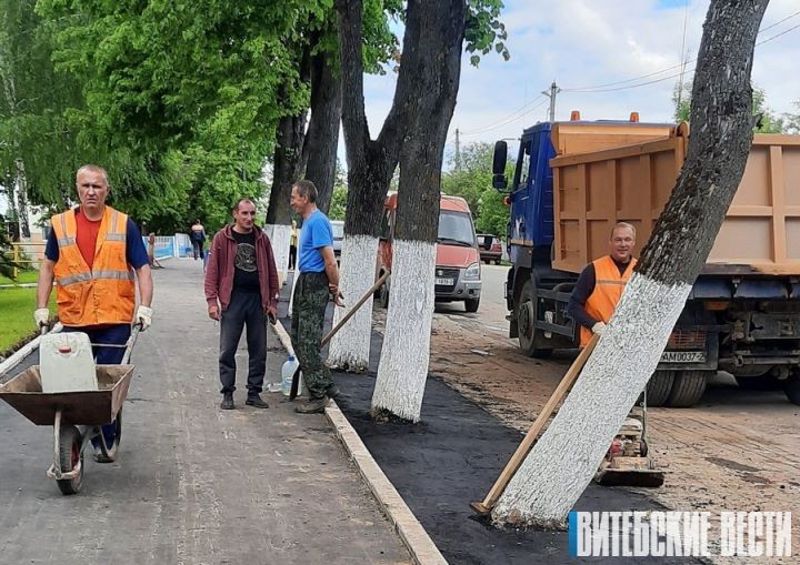  В белорусском поселке заасфальтировали газон вместе с деревьями