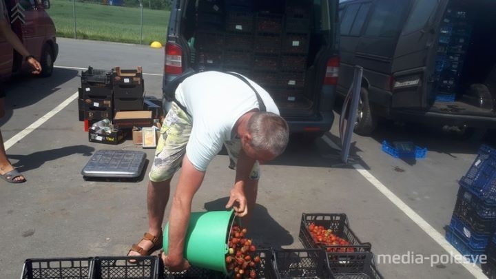 Рынок во Дворце