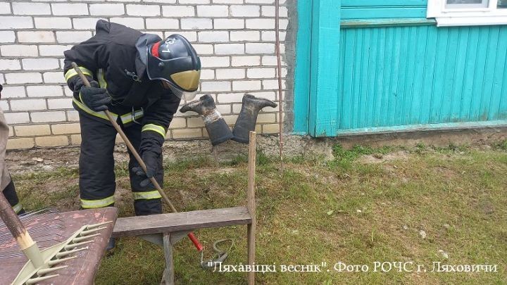 В Брестской области спасатели отловили змею во дворе деревенского дома
