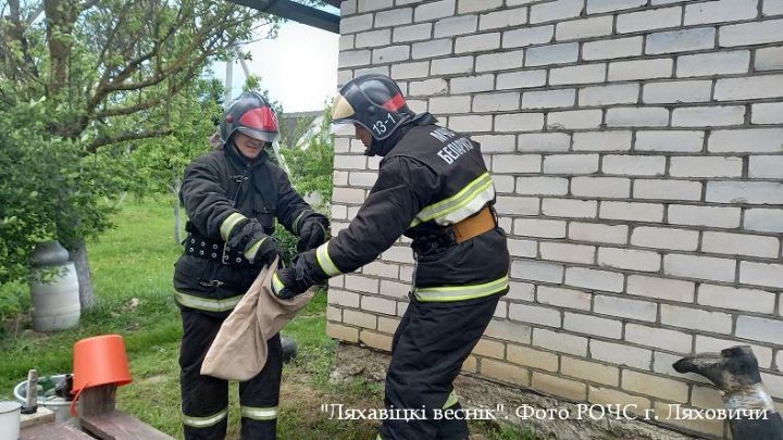 В Брестской области спасатели отловили змею во дворе деревенского дома