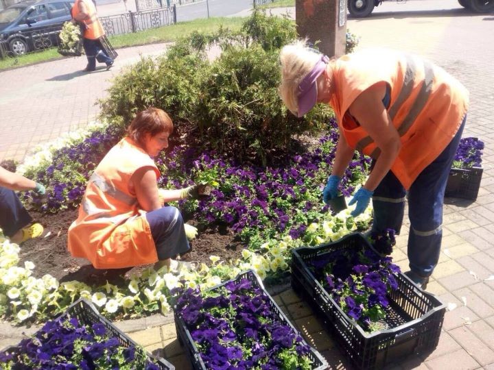 Садят цветы в Бресте