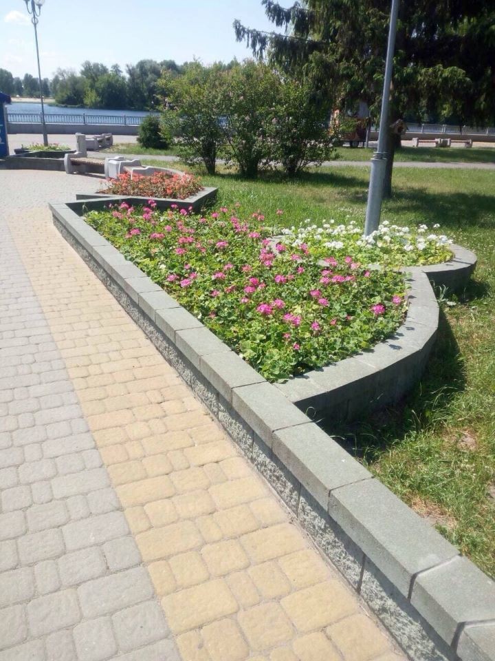 Садят цветы в Бресте