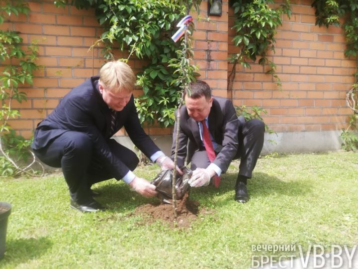 На территории Генерального консульства России был высажен свой сад в память о погибших в годы Великой Отечественной войны.