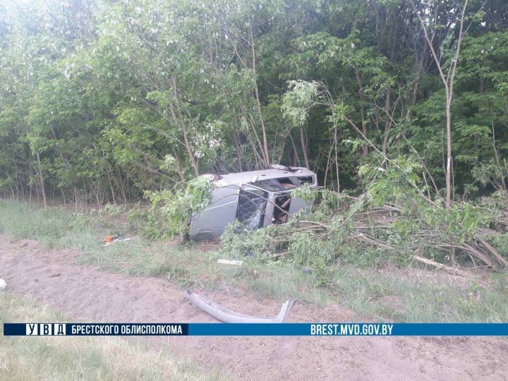 В Брестской области водитель-бесправник съехал в кювет