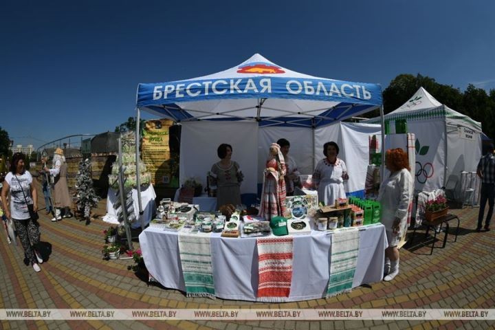 В Кобрине проходит культурно-спортивный фестиваль «Вытокі»