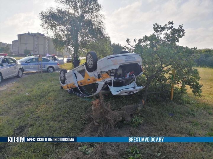 ДТП на улице Мошенского в Бресте: автомашина на крыше, сломано дерево