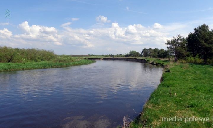 Группа путешественников из Бреста оценила красоту Полесья и его богатую на события историю