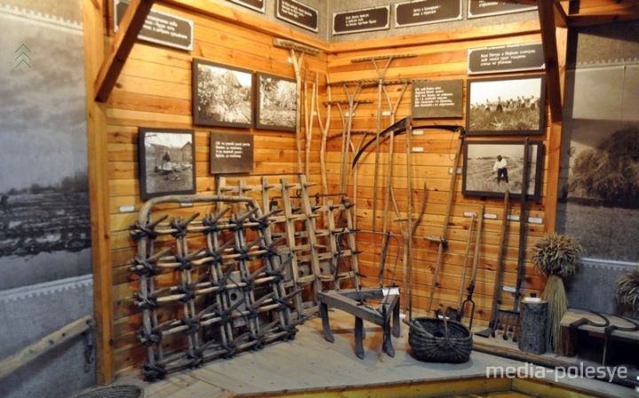 Группа путешественников из Бреста оценила красоту Полесья и его богатую на события историю