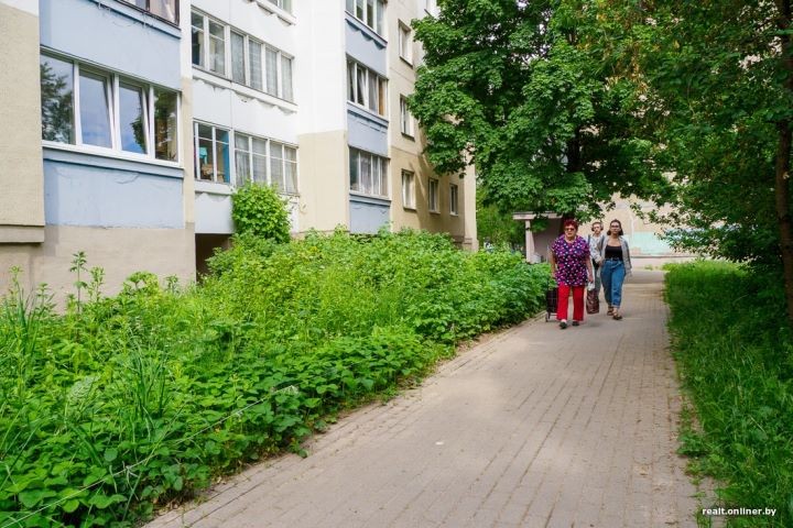 Во дворе столичной многоэтажки минчанка посадила картошку