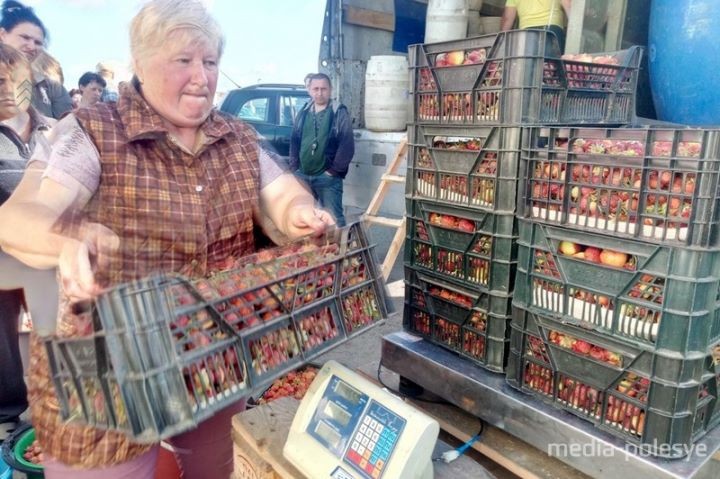 На оптовом рынке во Дворце появились бочки. Клубнику принимают по 30 копеек