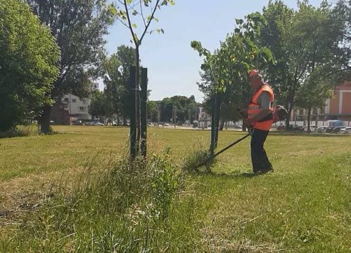 Косят траву в Бресте