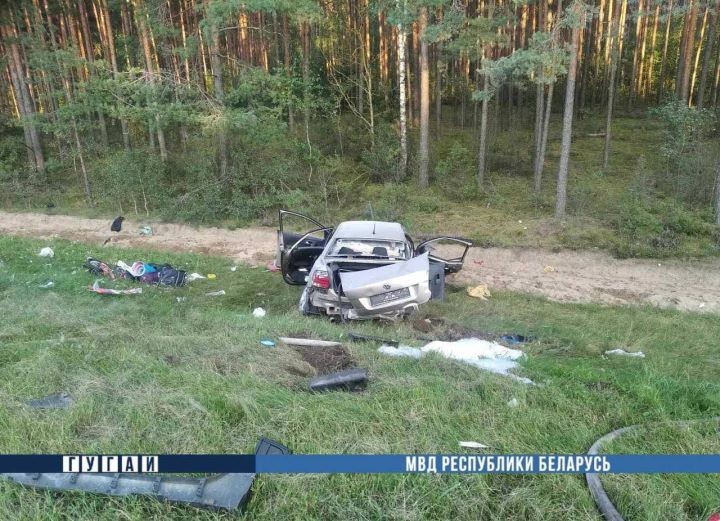 Водитель с 3-летним ребенком в больнице. Подробности ДТП на М1 в Брестской области