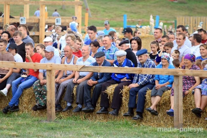 500 кг овса достались лошади по кличке Медведь. В Брестской области прошли соревнования на конных упряжках