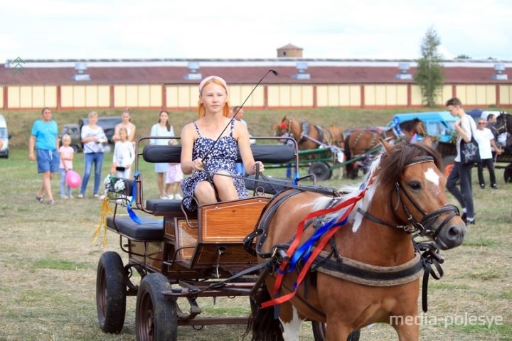 500 кг овса достались лошади по кличке Медведь. В Брестской области прошли соревнования на конных упряжках