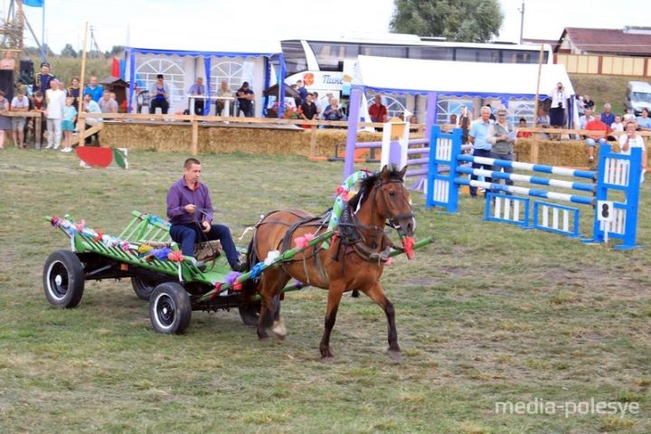 500 кг овса достались лошади по кличке Медведь. В Брестской области прошли соревнования на конных упряжках