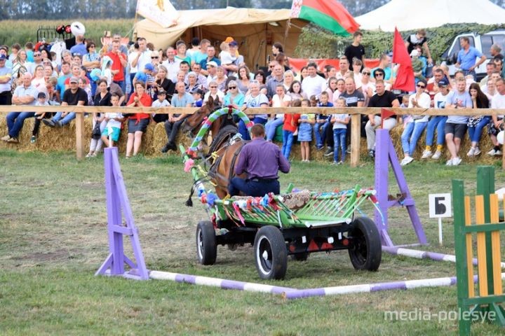 500 кг овса достались лошади по кличке Медведь. В Брестской области прошли соревнования на конных упряжках