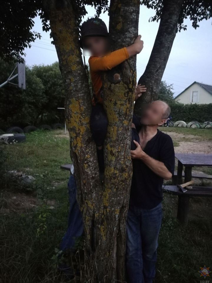 В Новогрудке мальчик застрял между двумя стволами дерева