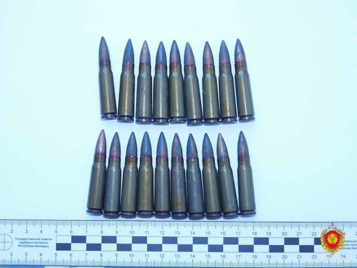 Около Бреста дети выловили патроны