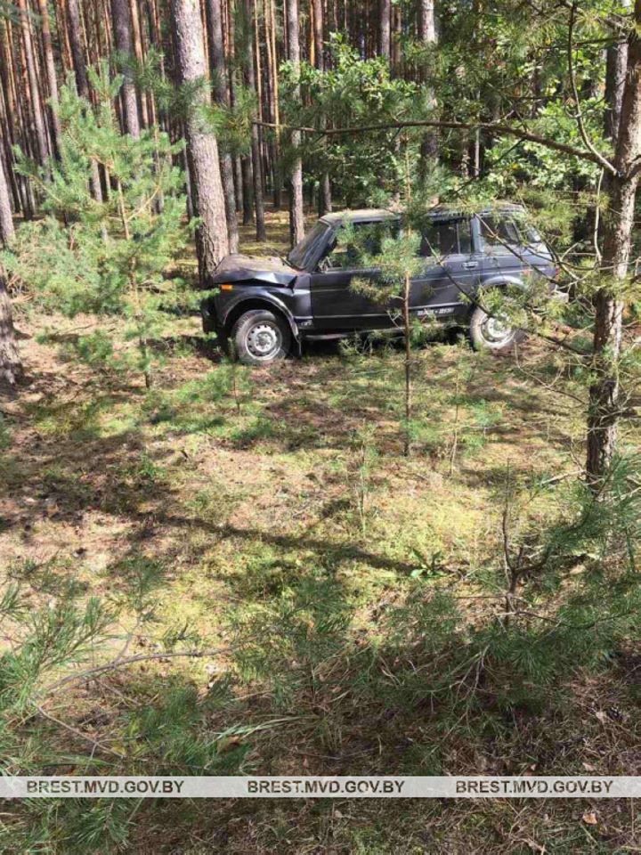 66-летняя жительница Ивацевичского района врезалась в дерево