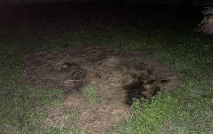 При сжигании мусора житель Брестской области получил ожоги