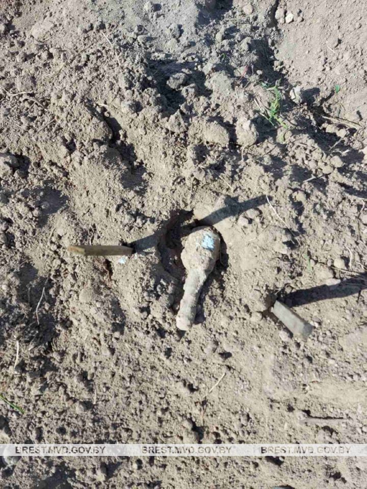 Мужчина нашел гранату в Брестской области, когда собирал камни на участке