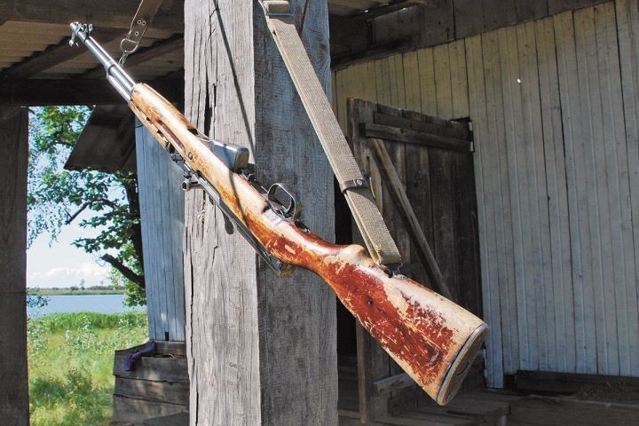 Незаконно добытый на охоте олень благородный стал «золотым»