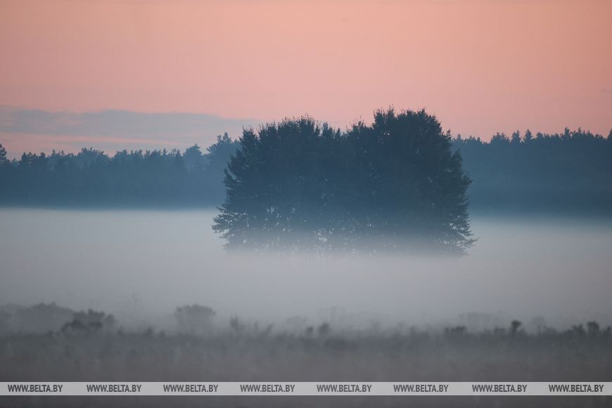 Осеннее утро в национальном парке «Беловежская пуща».