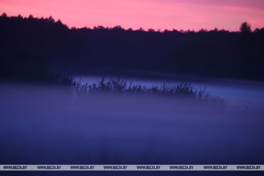 Осеннее утро в национальном парке «Беловежская пуща».