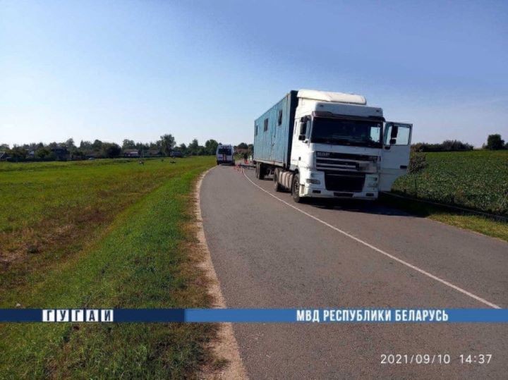 В Брестской области фура насмерть сбила велосипедиста