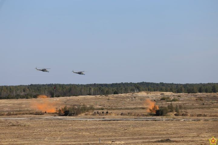 Под Брестом отработали новые формы и методы борьбы с беспилотными летательными аппаратами