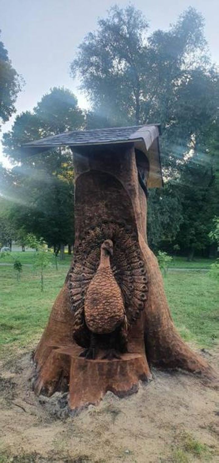 В Бресте из аварийного дерева сделали оригинальную инсталляцию