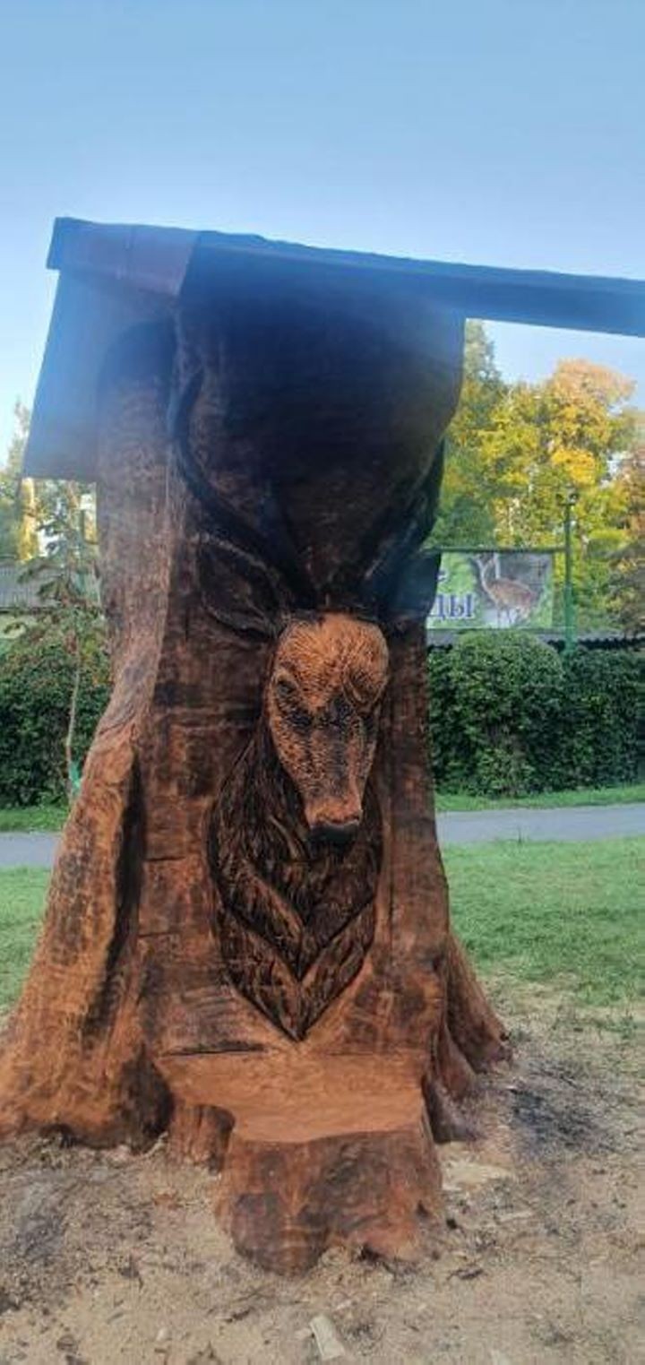 В Бресте из аварийного дерева сделали оригинальную инсталляцию