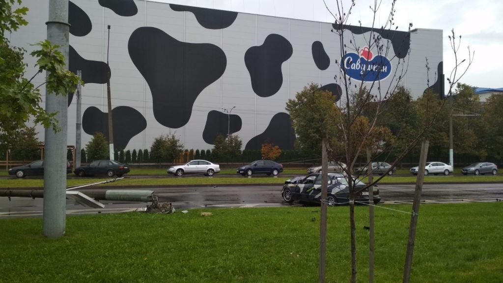 В Бресте на Янки Купалы водитель снес столб