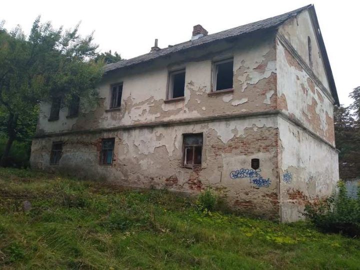 В Каменецком районе за 54 000 долларов продают часть имения Сапегов-Потоцких