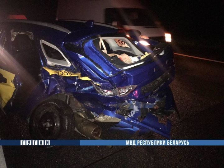 В Ивацевичском районе в аварии на М1 погибла женщина