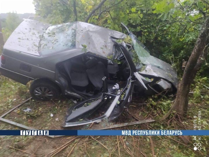 Автомобиль врезался в дерево в Каменецком районе