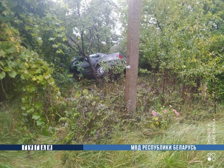 Автомобиль врезался в дерево в Каменецком районе