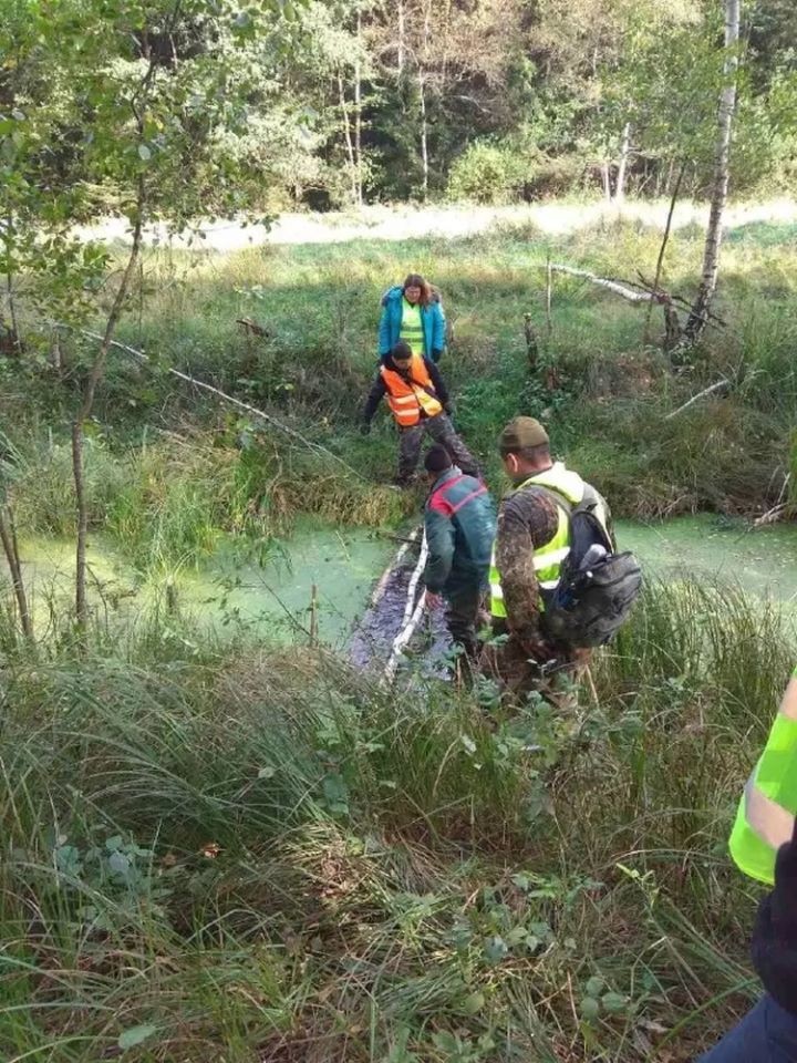 «Сейчас мы действовали бы иначе»: спустя четыре года жители Нового Двора и волонтеры вспоминают поиски 10-летнего Максима Мархалюка