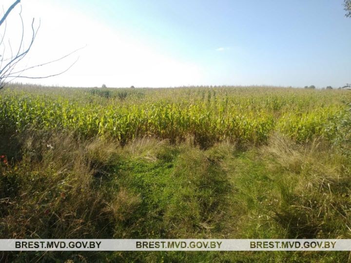 В Брестской области велосипедиста с мешком остановила ГАИ. Что произошло?