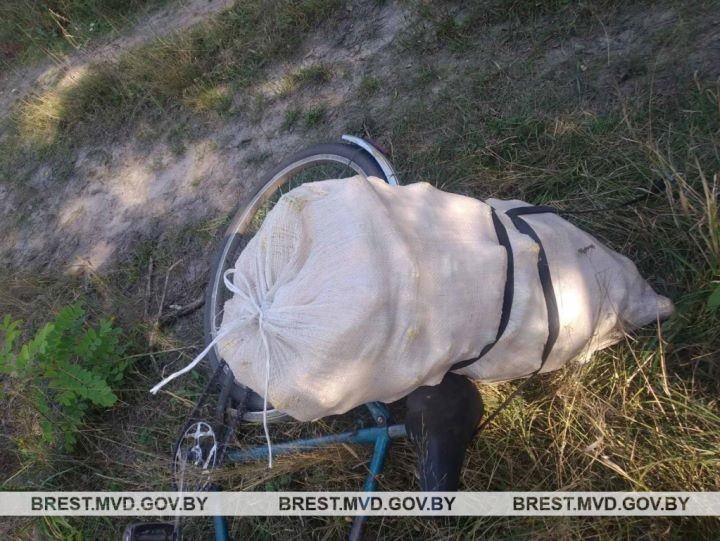 В Брестской области велосипедиста с мешком остановила ГАИ. Что произошло?