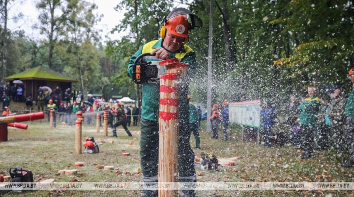 Работники лесного хозяйства отметили профессиональный праздник. Фоторепортаж из Беловежской пущи