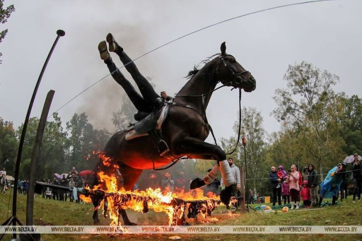 Работники лесного хозяйства отметили профессиональный праздник. Фоторепортаж из Беловежской пущи