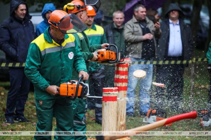 Работники лесного хозяйства отметили профессиональный праздник. Фоторепортаж из Беловежской пущи