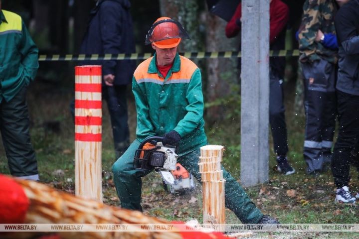 Работники лесного хозяйства отметили профессиональный праздник. Фоторепортаж из Беловежской пущи