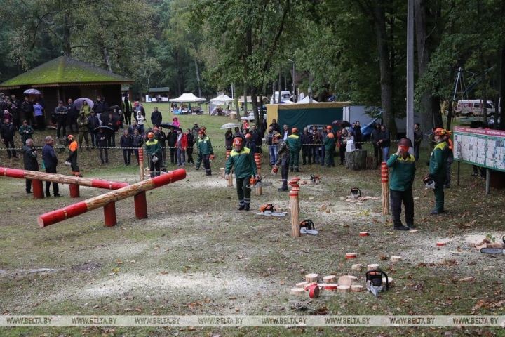 Работники лесного хозяйства отметили профессиональный праздник. Фоторепортаж из Беловежской пущи