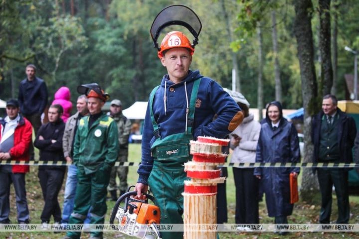 Работники лесного хозяйства отметили профессиональный праздник. Фоторепортаж из Беловежской пущи