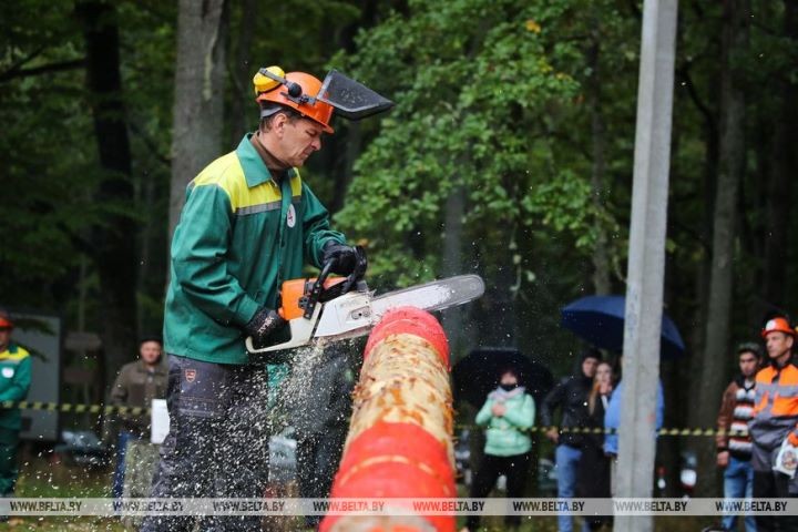 Работники лесного хозяйства отметили профессиональный праздник. Фоторепортаж из Беловежской пущи