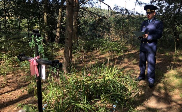 Фото: прокуратура Каменецкого района