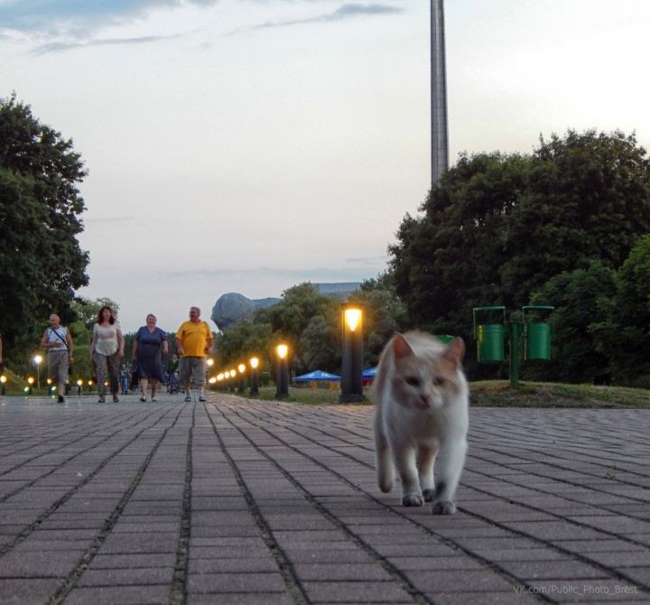 Фото из открытых источников (иллюстрация)