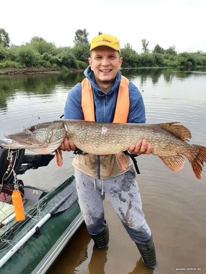 Рыбачил почти час: 10 минут ловил, 40 — реанимировал. На Днепре поймали щуку весом 9 килограммов